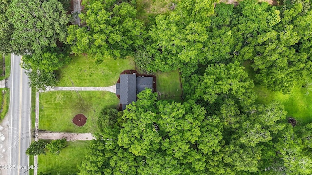 25967 US-264, Pantego, NC 27860 - bird's eye view