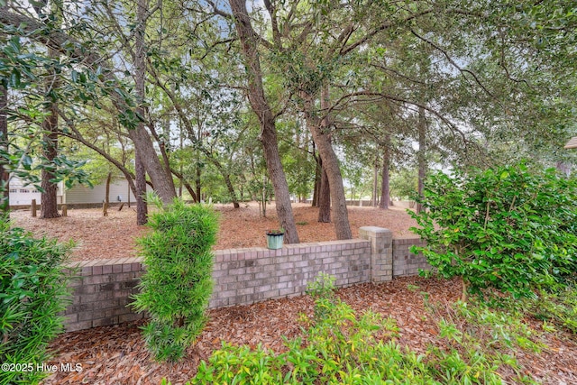 3716 Pond Pine Ct, Southport, NC 28461 - view of yard