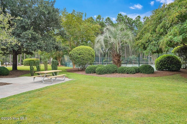 3716 Pond Pine Ct, Southport, NC 28461 - view of yard