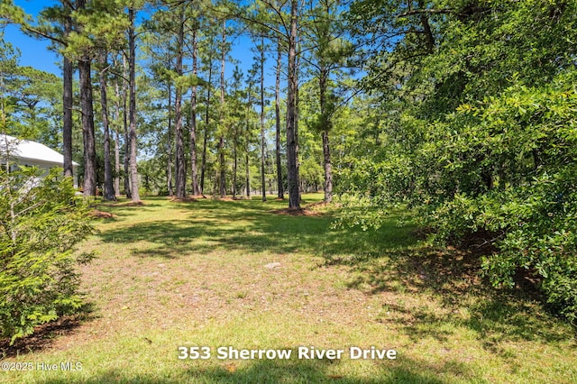 353 Sherrow River Dr SW Unit 48, Shallotte, NC 28470