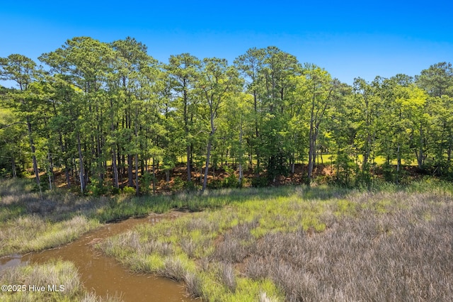 353 Sherrow River Dr SW Unit 48, Shallotte, NC 28470
