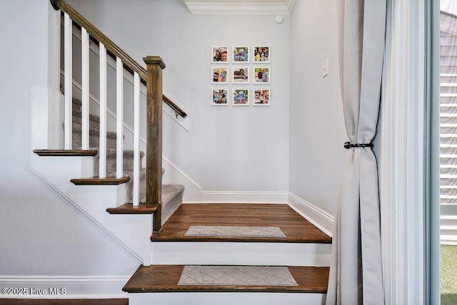 1022 Summer Woods Dr, Wilmington, NC 28412 - stairs featuring crown molding and wood finished floors
