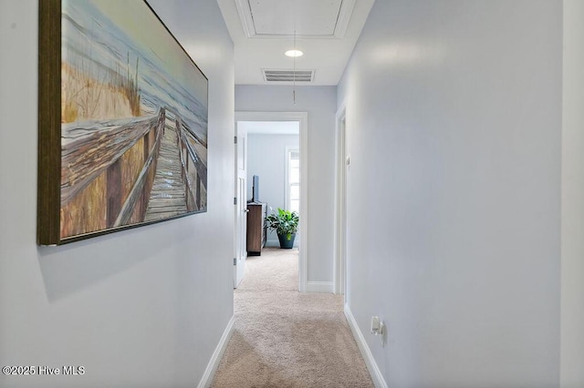 1022 Summer Woods Dr, Wilmington, NC 28412 - hall featuring carpet flooring and attic access