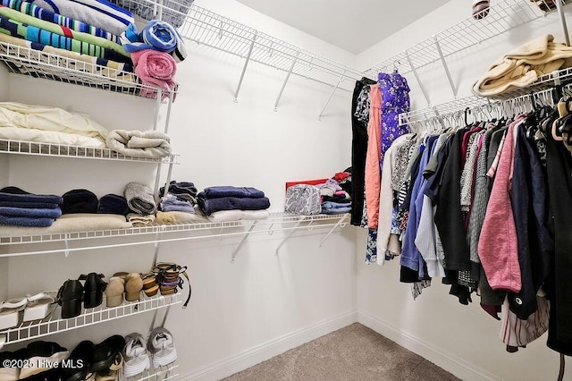 1022 Summer Woods Dr, Wilmington, NC 28412 - walk in closet featuring carpet floors