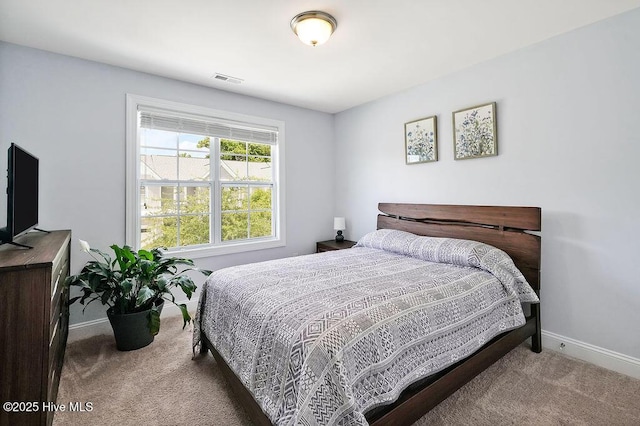 1022 Summer Woods Dr, Wilmington, NC 28412 - bedroom featuring carpet floors