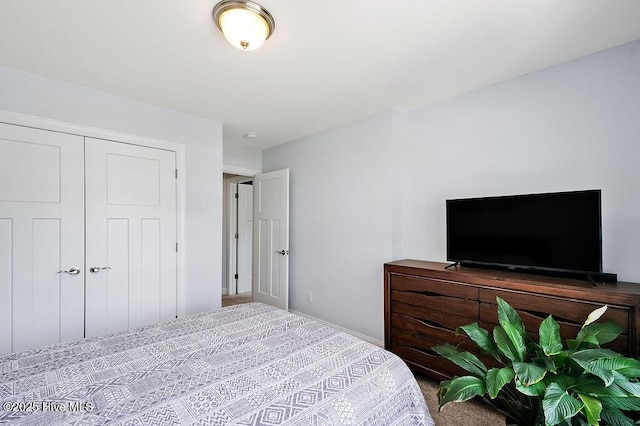 1022 Summer Woods Dr, Wilmington, NC 28412 - bedroom featuring carpet flooring and a closet