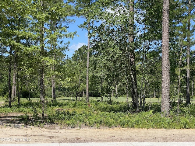 8755 Compass Pointe W Wynd Wynd NE Unit 4, Leland, NC 28451