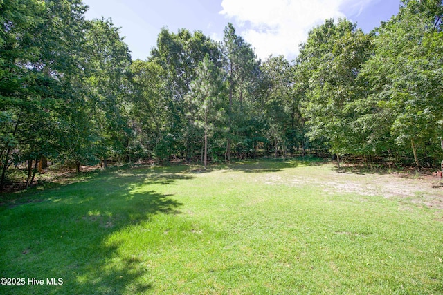 130 Pinecone Ct, Seven Lakes, NC 27376 - view of green lawn
