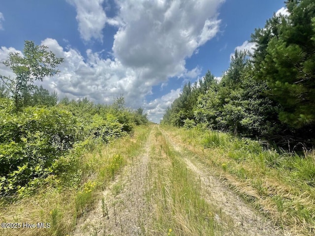 0 Shields Commissary Rd, Scotland Neck, NC 27874