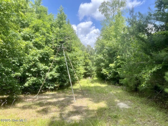 0 Shields Commissary Rd, Scotland Neck, NC 27874