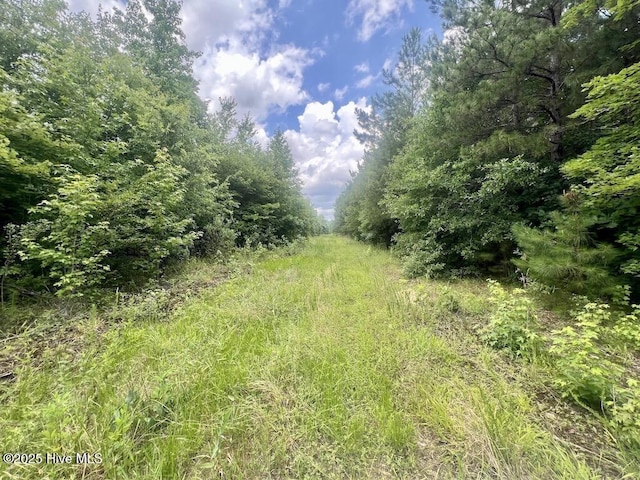 0 Shields Commissary Rd, Scotland Neck, NC 27874