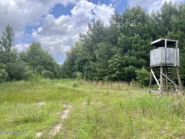 0 Shields Commissary Rd, Scotland Neck, NC 27874