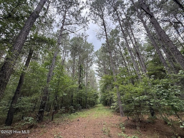 0 Shields Commissary Rd, Scotland Neck, NC 27874
