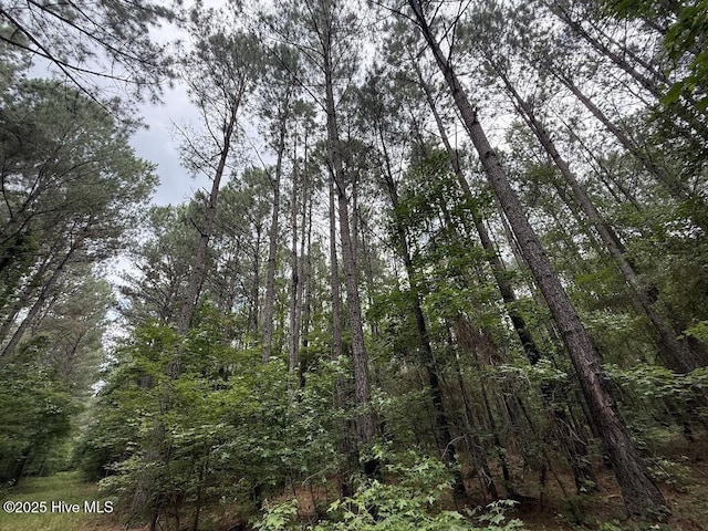 0 Shields Commissary Rd, Scotland Neck, NC 27874