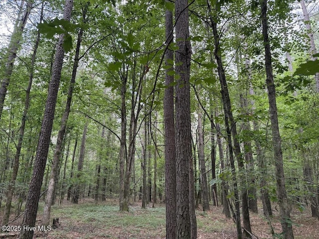0 Shields Commissary Rd, Scotland Neck, NC 27874