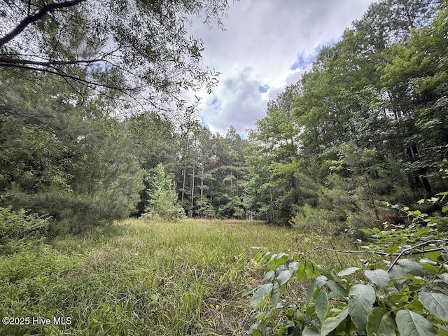 0 Shields Commissary Rd, Scotland Neck, NC 27874