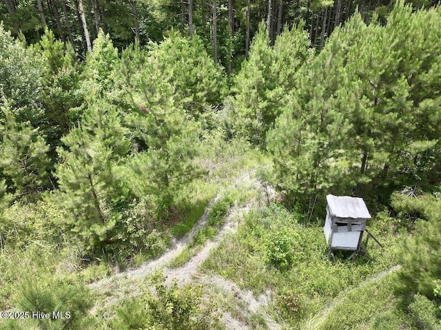 0 Shields Commissary Rd, Scotland Neck, NC 27874