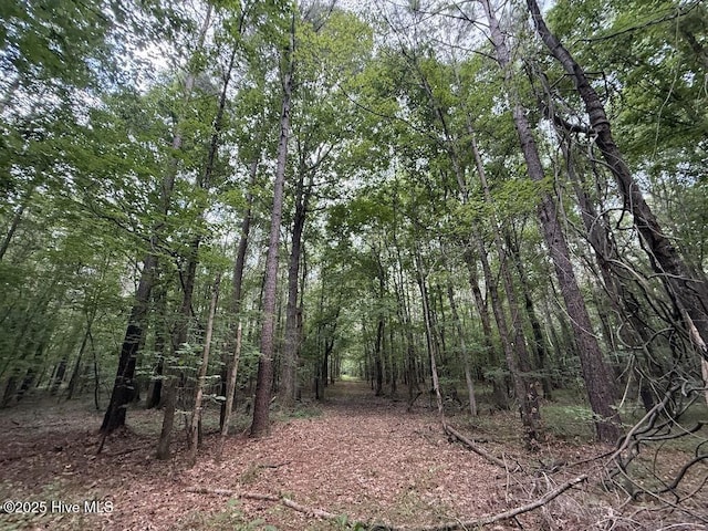 0 Shields Commissary Rd, Scotland Neck, NC 27874