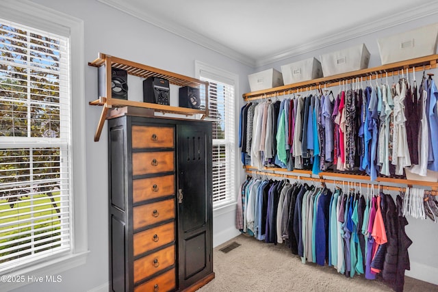 1514 Grandiflora Dr, Leland, NC 28451 - spacious closet with carpet floors