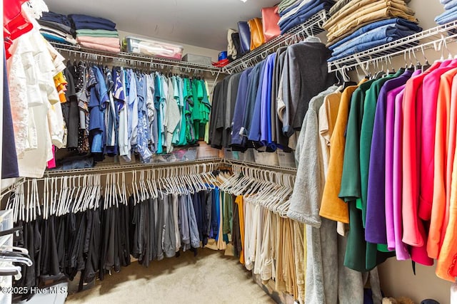 26 Calhoun Ln, Pinehurst, NC 28374 - walk in closet featuring carpet flooring