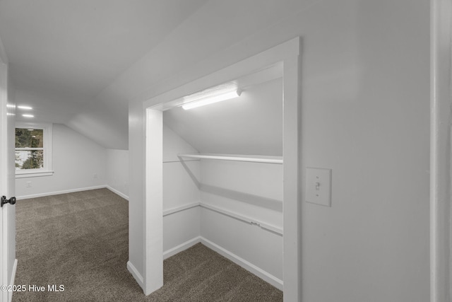 350 Hubert Blvd, Hubert, NC 28539 - bonus room with vaulted ceiling and carpet flooring
