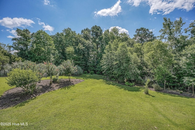 311 S Kingfisher Ln, Hampstead, NC 28443 - view of grassy yard