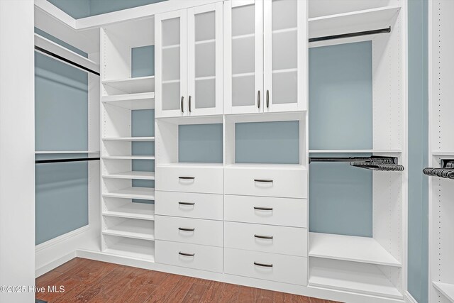 311 S Kingfisher Ln, Hampstead, NC 28443 - walk in closet featuring dark wood-style flooring