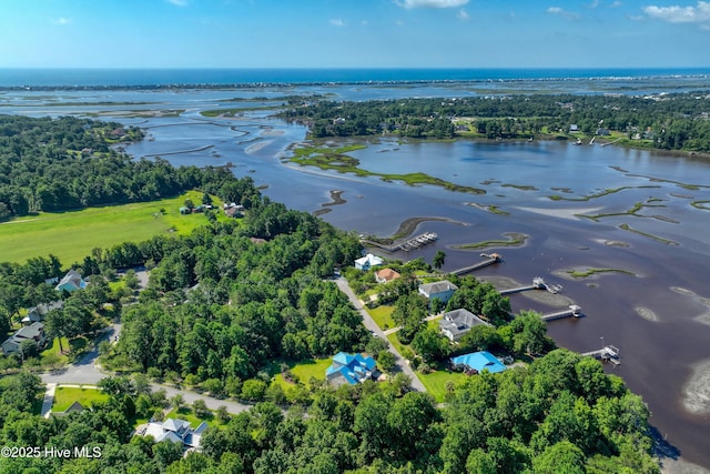 311 S Kingfisher Ln, Hampstead, NC 28443 - aerial view of a nearby body of water and a tree filled landscape