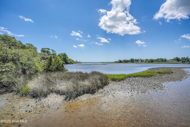 311 S Kingfisher Ln, Hampstead, NC 28443 - water view