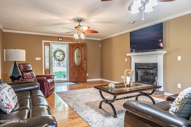 409 S Grace Chapel Church Rd, Hamlet, NC 28345 - living room featuring a ceiling fan, light wood-style floors, a glass covered fireplace, and crown molding