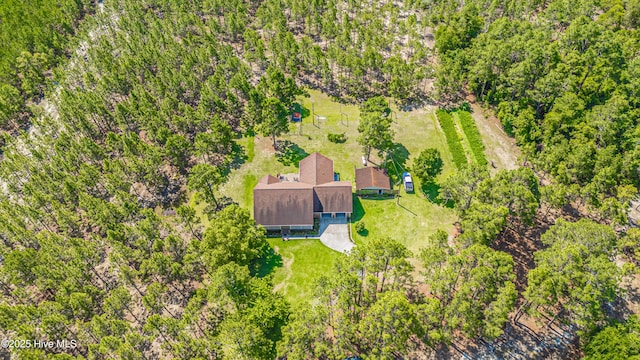 409 S Grace Chapel Church Rd, Hamlet, NC 28345 - aerial view of property and surrounding area