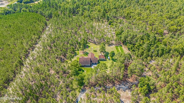 409 S Grace Chapel Church Rd, Hamlet, NC 28345 - drone / aerial view of a heavily wooded area