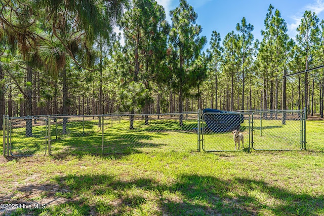 409 S Grace Chapel Church Rd, Hamlet, NC 28345 - view of yard with a gate