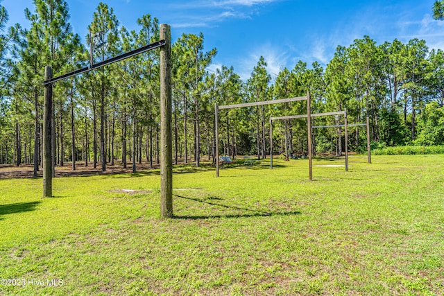 409 S Grace Chapel Church Rd, Hamlet, NC 28345 - surrounding community with a yard