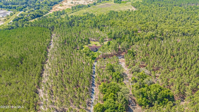 409 S Grace Chapel Church Rd, Hamlet, NC 28345 - bird's eye view of a forest