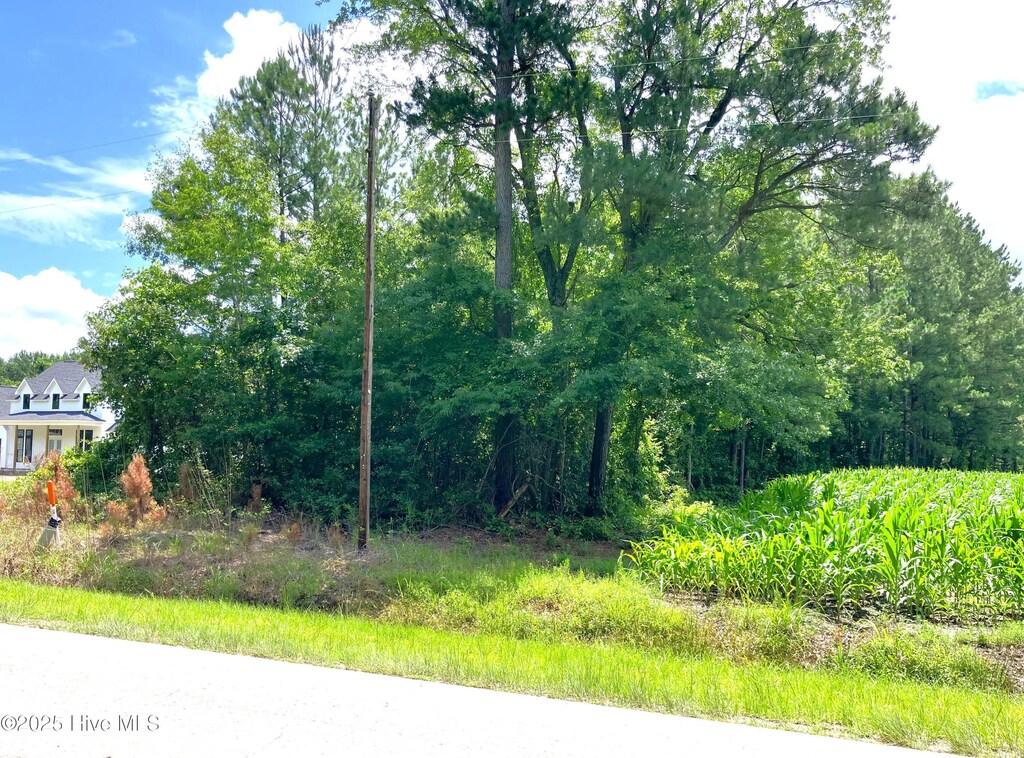 294 Springhill Rd, Maysville, NC 28555