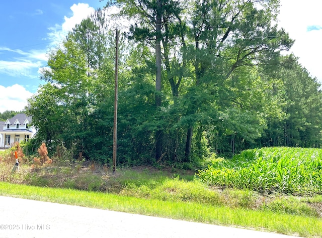 294 Springhill Rd, Maysville, NC 28555