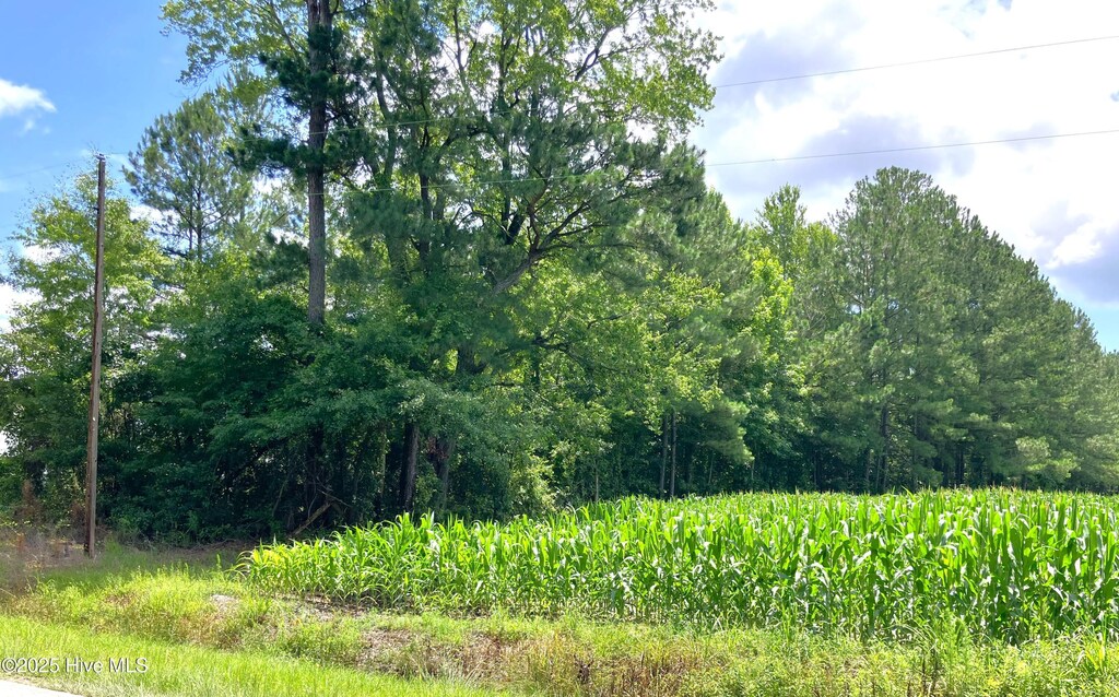 294 Springhill Rd, Maysville, NC 28555