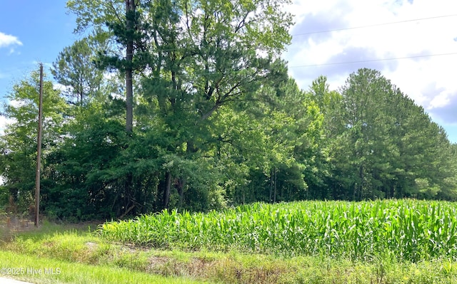 294 Springhill Rd, Maysville, NC 28555