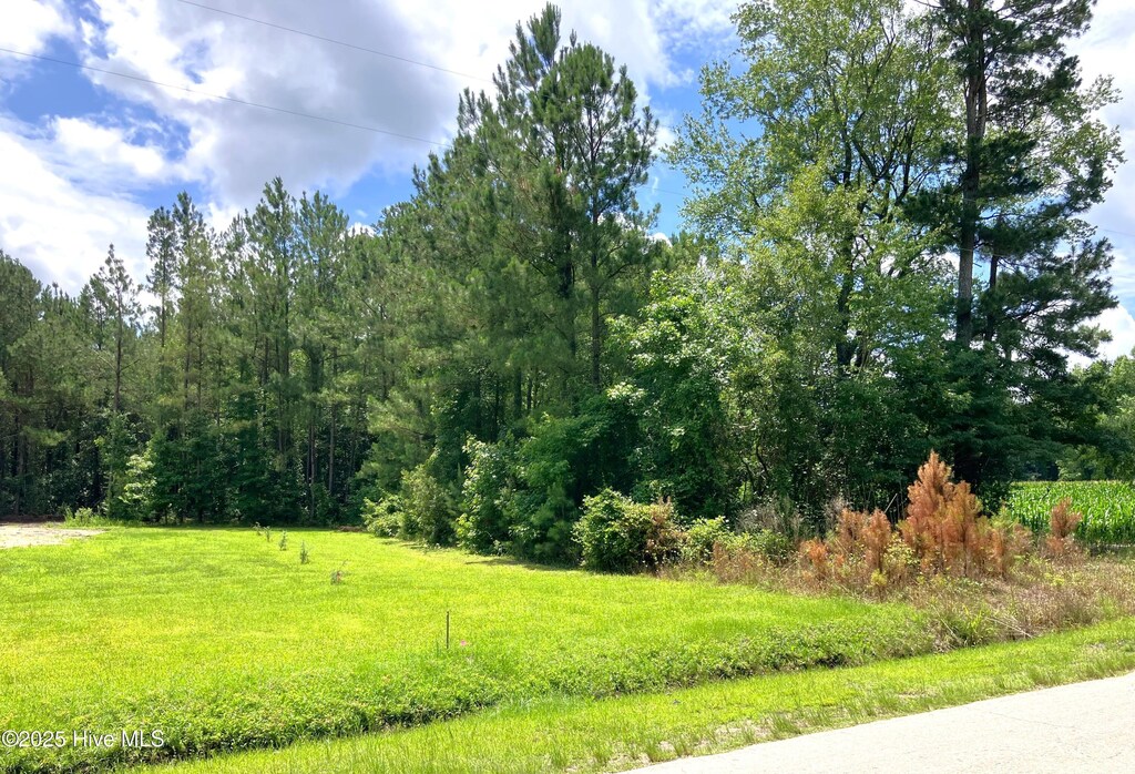 294 Springhill Rd, Maysville, NC 28555