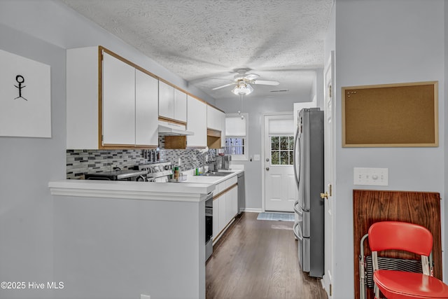 4606 White Ibis Ct, Wilmington, NC 28412 - kitchen with stainless steel appliances, ceiling fan, white cabinetry, dark wood-type flooring, and tasteful backsplash