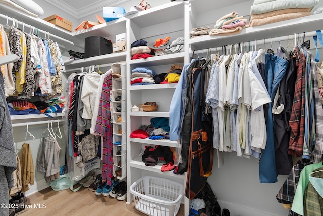 102 SW 4th St, Oak Island, NC 28465 - walk in closet featuring wood finished floors