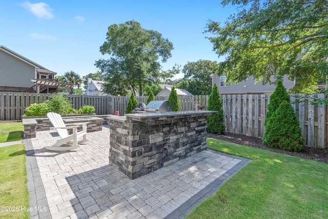 102 SW 4th St, Oak Island, NC 28465 - fenced backyard with exterior kitchen and a patio