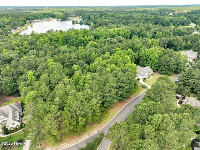 217 October Glory Dr, Wallace, NC 28466