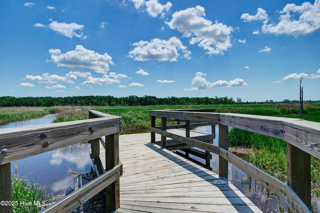 321 Preservation Point Ave, Wilmington, NC 28401