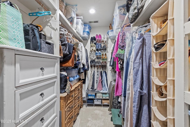 111 Mcginnis Dr, Pine Knoll Shores, NC 28512 - spacious closet with carpet flooring