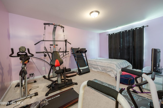 337 Brewington Rd, Clinton, NC 28328 - exercise area featuring carpet floors and baseboards