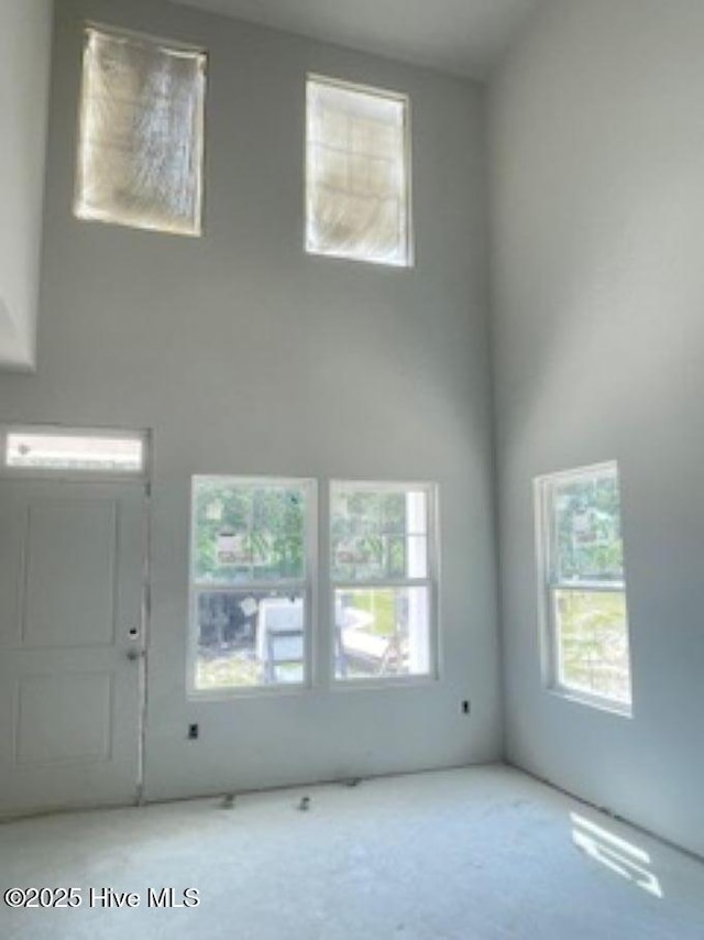 808 Palm Frond Way, Calabash, NC 28467 - entrance foyer featuring healthy amount of natural light