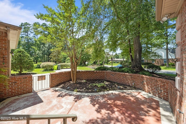 7006 Club House Dr, New Bern, NC 28562 - view of patio