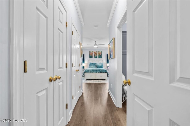 4465 Orchard Knob Ln, High Point, NC 27265 - hallway with dark wood finished floors and baseboards